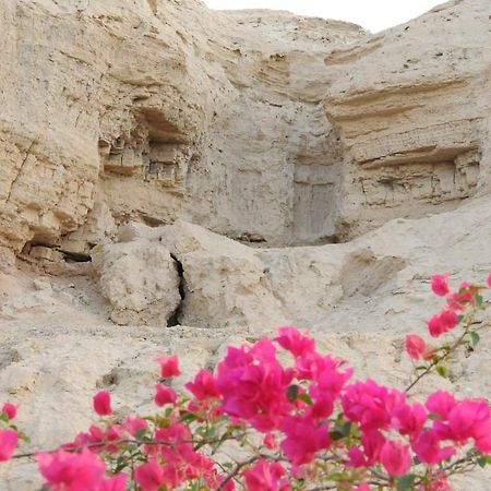 Dead Sea Dawn Βίλα Neot HaKikar Εξωτερικό φωτογραφία